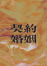 契约婚姻电视剧大全